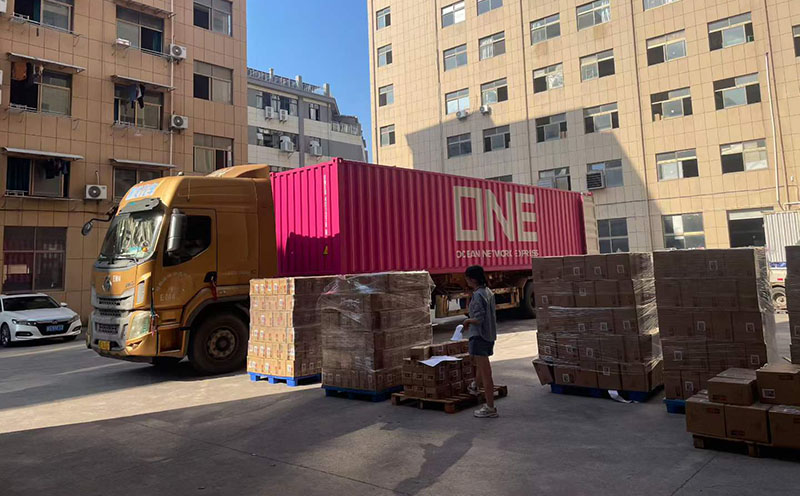From Prototype to Global Delivery: LeaderCases’ Bulk Production & QA Standards for OEM EVA Cases
